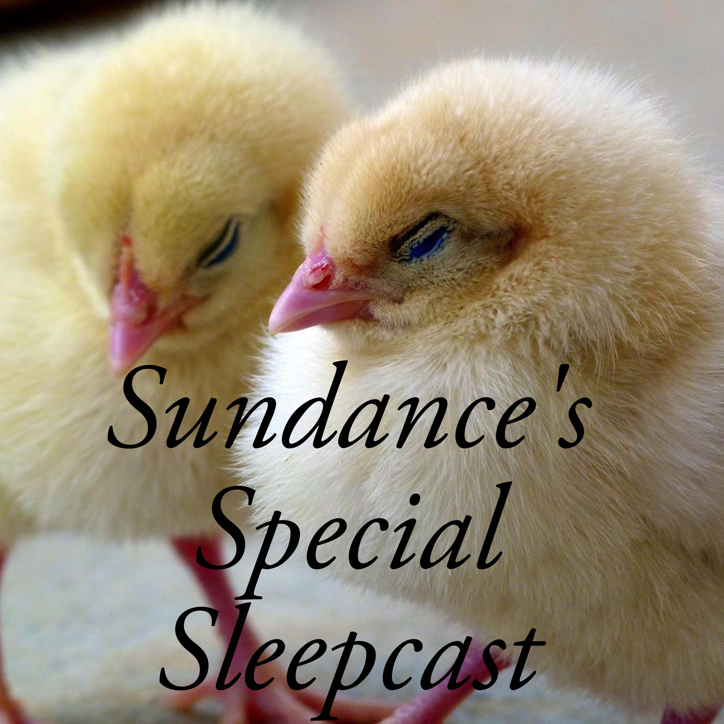 Sundance Sleepcast's Podcast